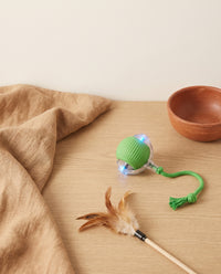 Pawly Ball — La Balle Qui Occupe Votre Chat
