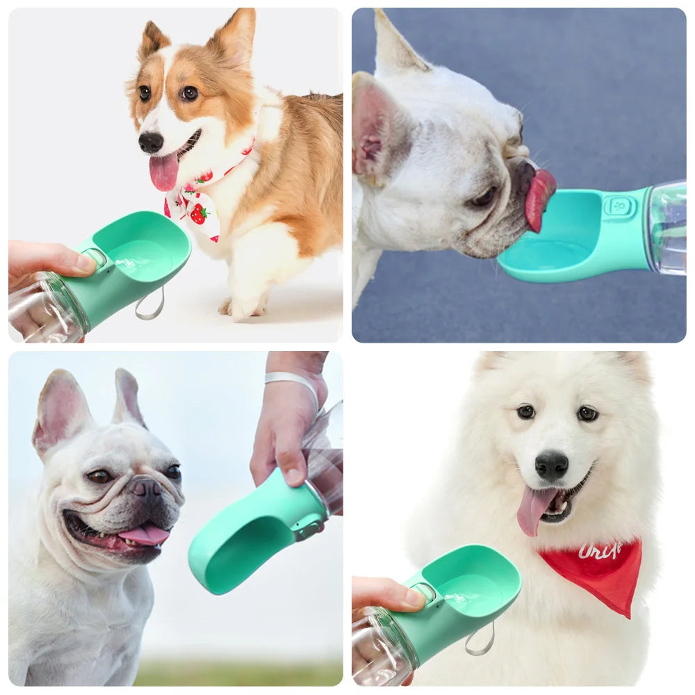 Pawly Bowl — Gamelle d'eau portative pour chien