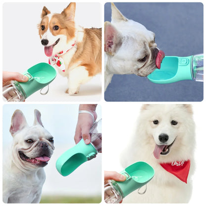 Pawly Bowl — Gamelle d'eau portative pour chien