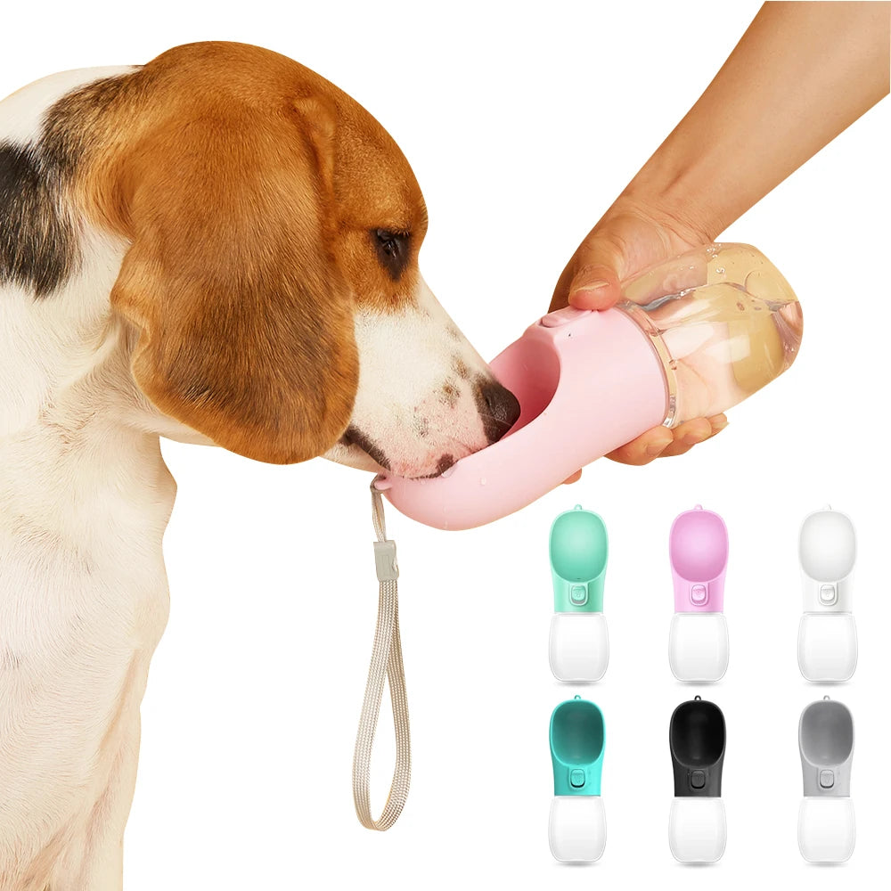 Pawly Bowl — Gamelle d'eau portative pour chien