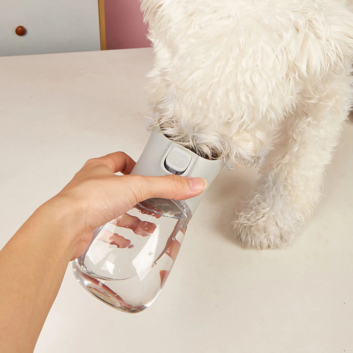 Pawly Bowl — Gamelle d'eau portative pour chien