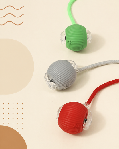 Pawly Ball — La Balle Qui Occupe Votre Chat