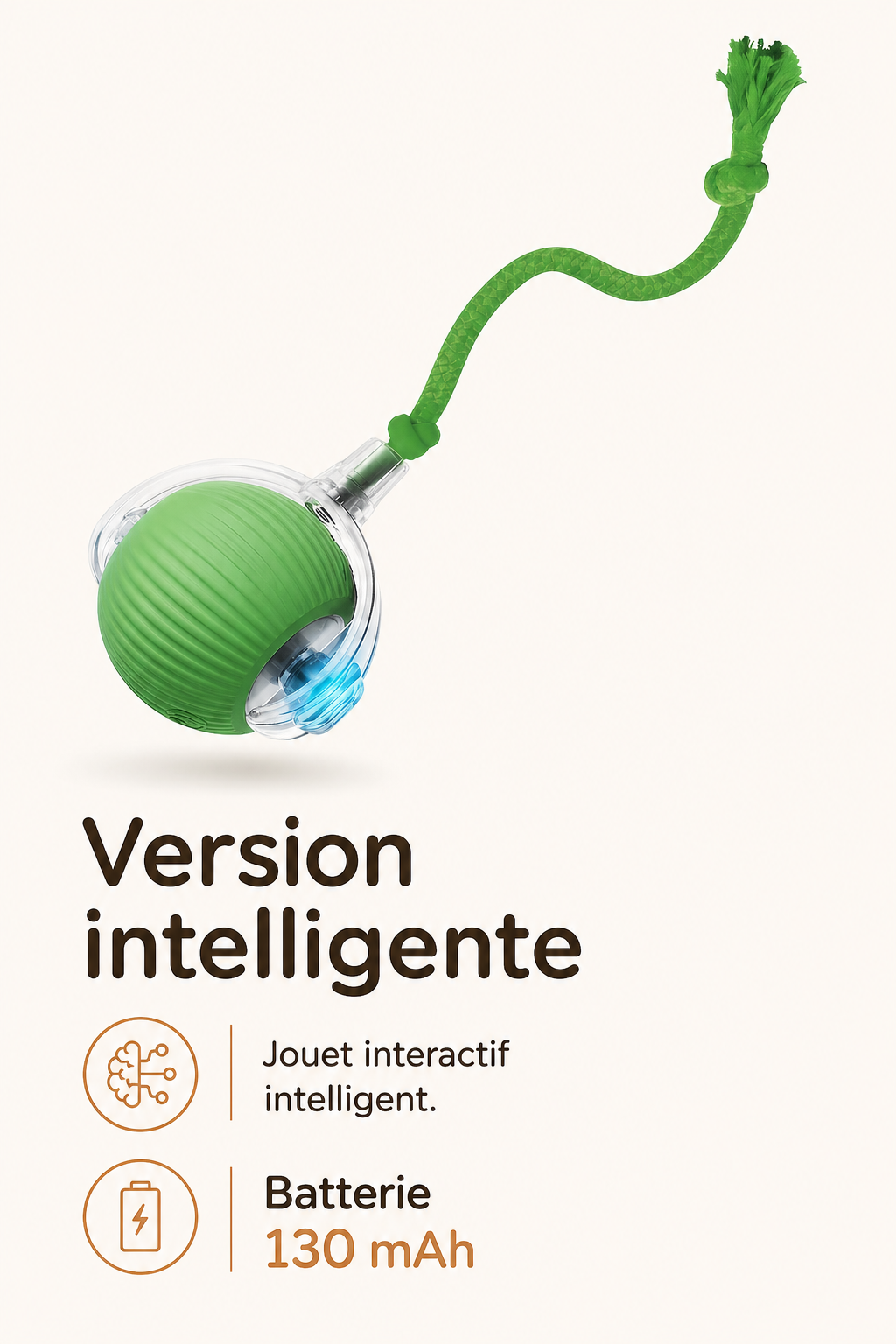 Pawly Ball — La Balle Qui Occupe Votre Chat