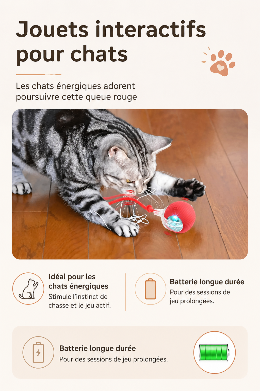 Pawly Ball — La Balle Qui Occupe Votre Chat