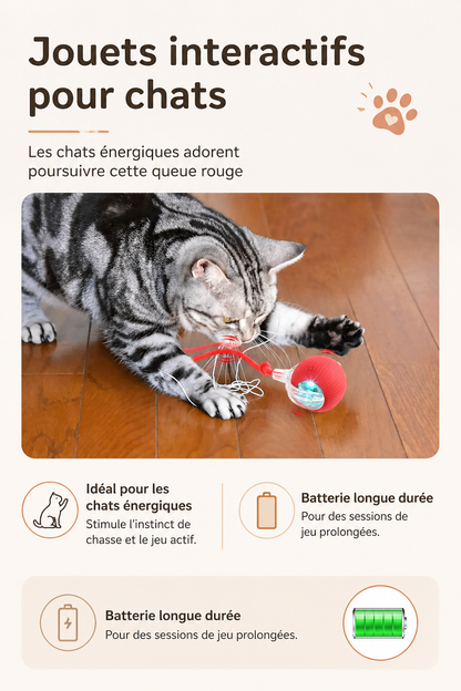 Pawly Ball — La Balle Qui Occupe Votre Chat