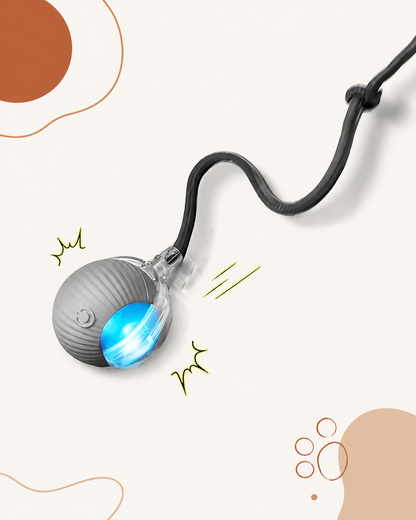 Pawly Ball — La Balle Qui Occupe Votre Chat