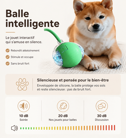 Pawly Ball — La Balle Qui Occupe Votre Chat