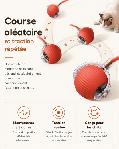 Pawly Ball — La Balle Qui Occupe Votre Chat