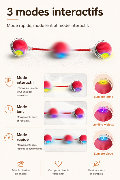 Pawly Ball — La Balle Qui Occupe Votre Chat