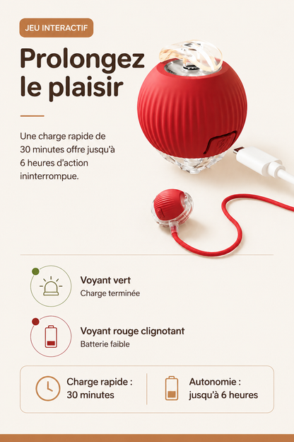 Pawly Ball — La Balle Qui Occupe Votre Chat